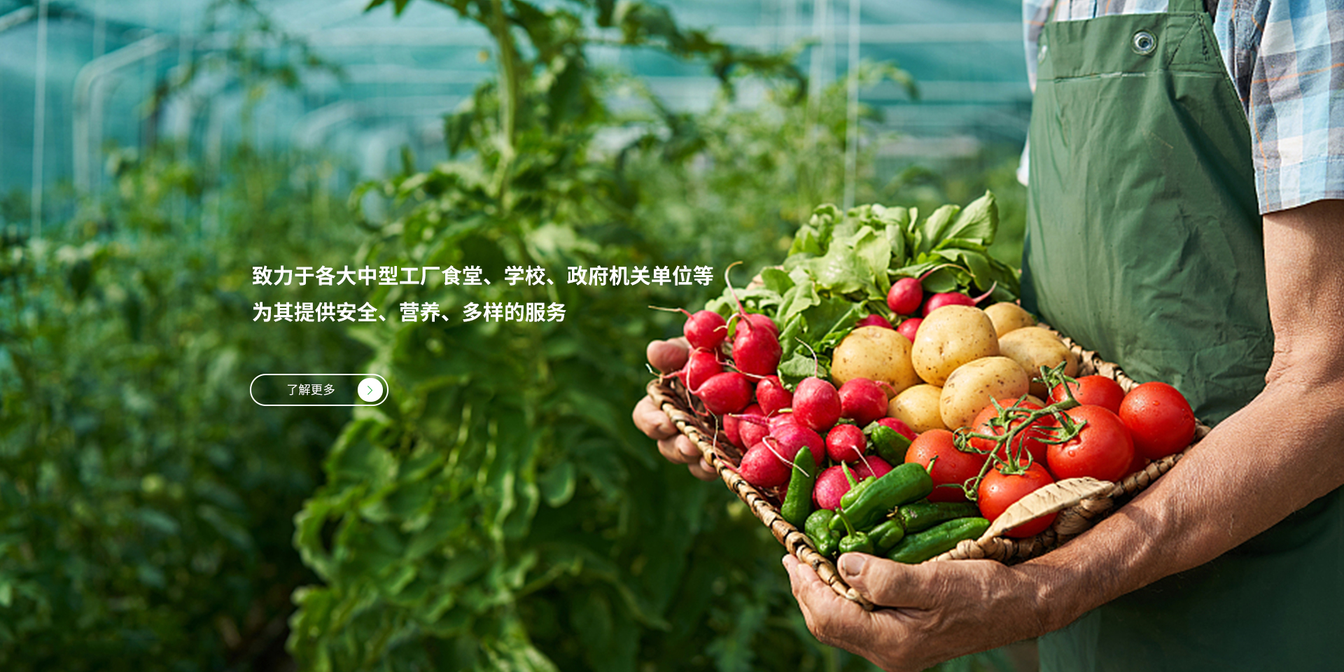 手機(jī)banner